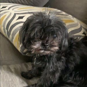 Meet your Posher, Kim